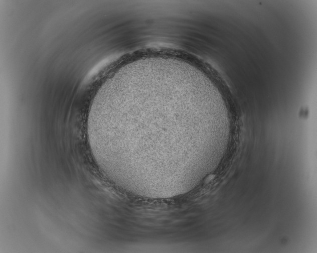 X0000111250919200907161402