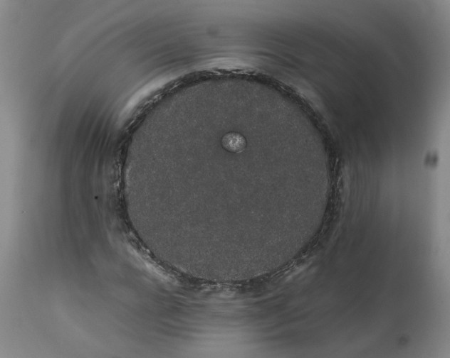 X0000111250920200907161402