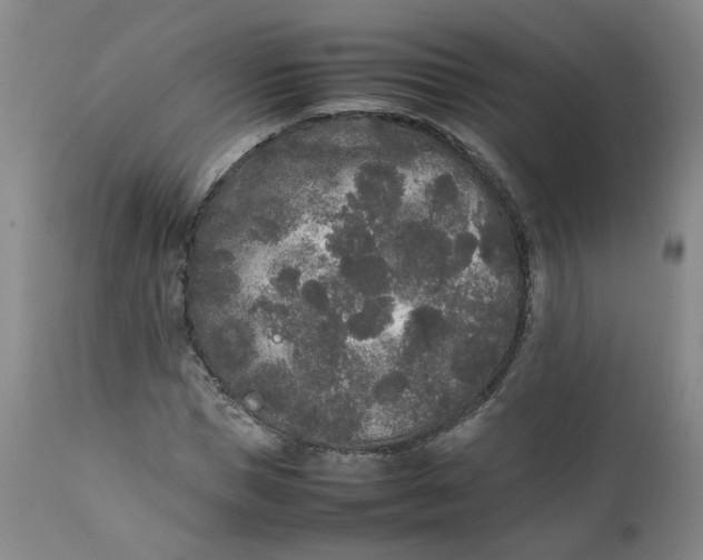 X0000111250921200907161402