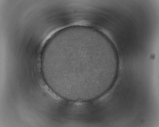 X0000111250923200907161402