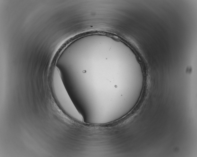 X0000111250924200907161402