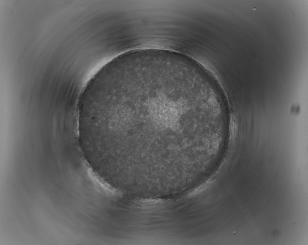 X0000111250925200907161402