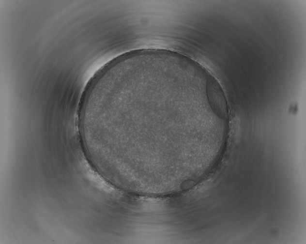 X0000111250928200907161402