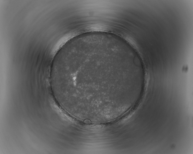 X0000111250930200907161402