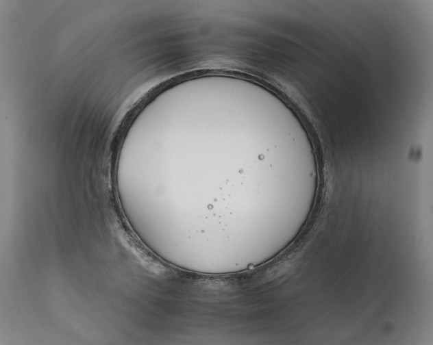 X0000111250931200907161403