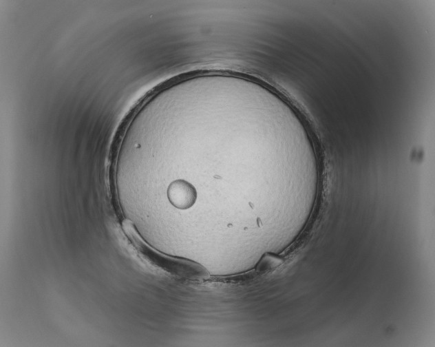 X0000111250932200907161403