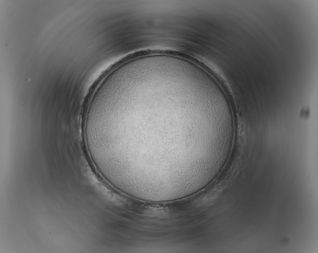 X0000111250935200907161403