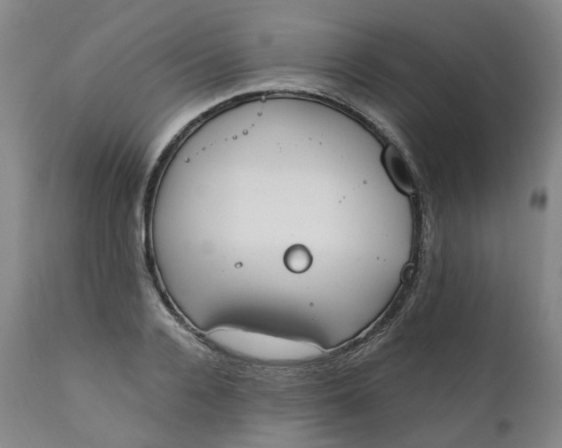 X0000111250936200907161403