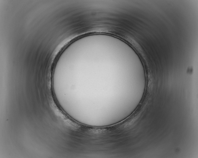 X0000111250939200907161403