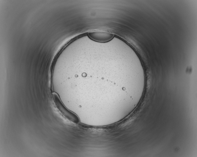 X0000111250940200907161403