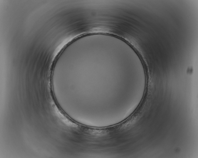 X0000111250941200907161403