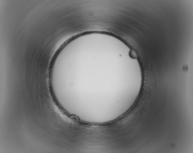 X0000111250942200907161403