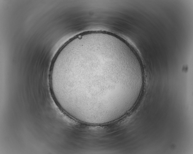 X0000111250943200907161403