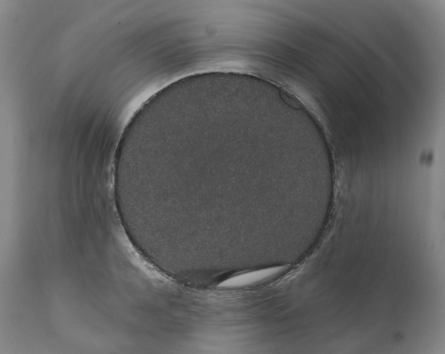 X0000111250944200907161403