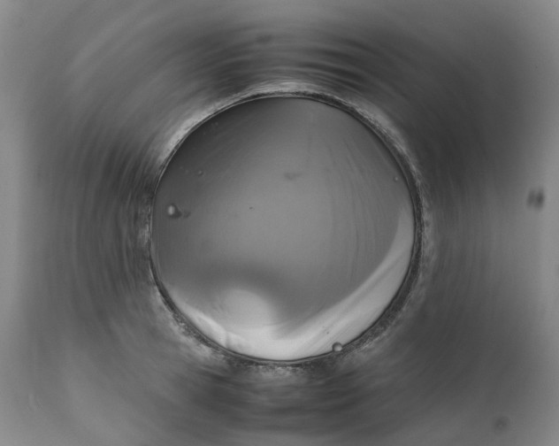 X0000111250945200907161403