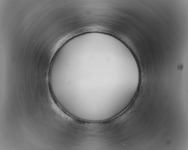 X0000111250946200907161403