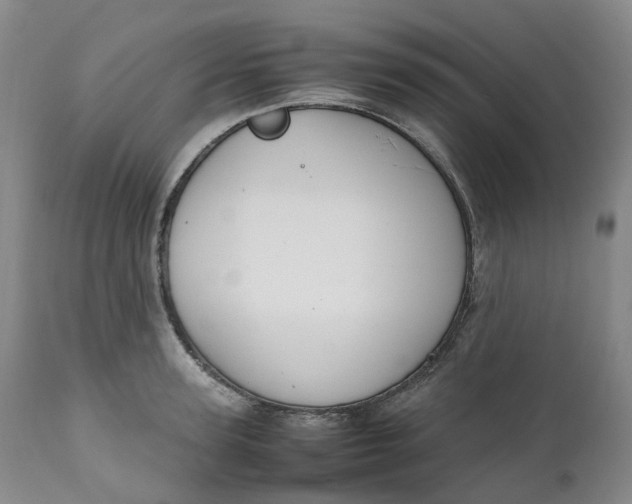 X0000111250947200907161403