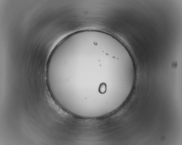 X0000111250948200907161403