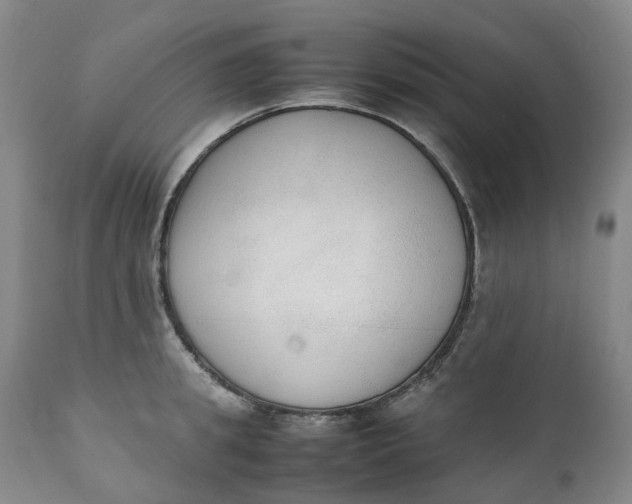 X0000111250949200907161403