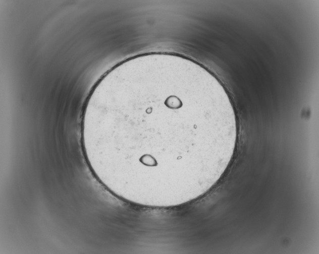 X0000111250950200907161403