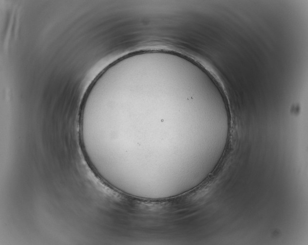 X0000111250951200907161403