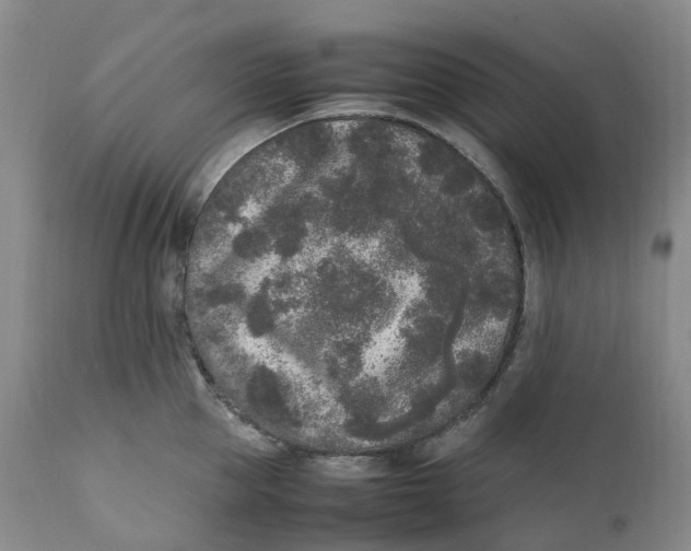 X0000111250953200907161403