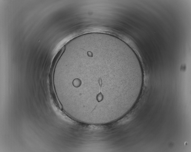 X0000111250954200907161403