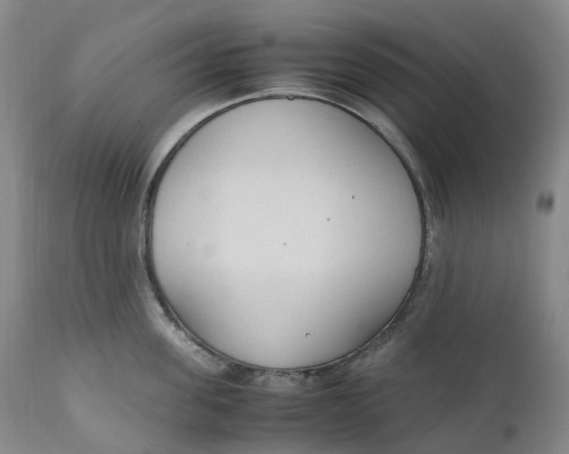 X0000111250955200907161403