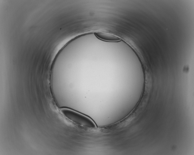 X0000111250956200907161403