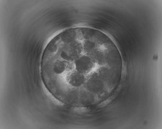 X0000111250957200907161403