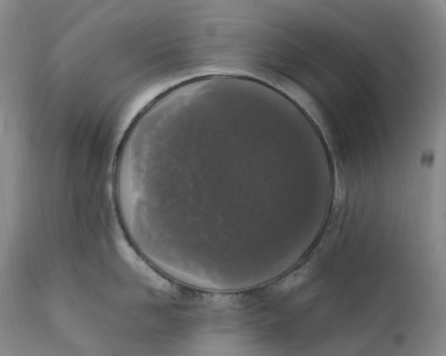 X0000111250958200907161403