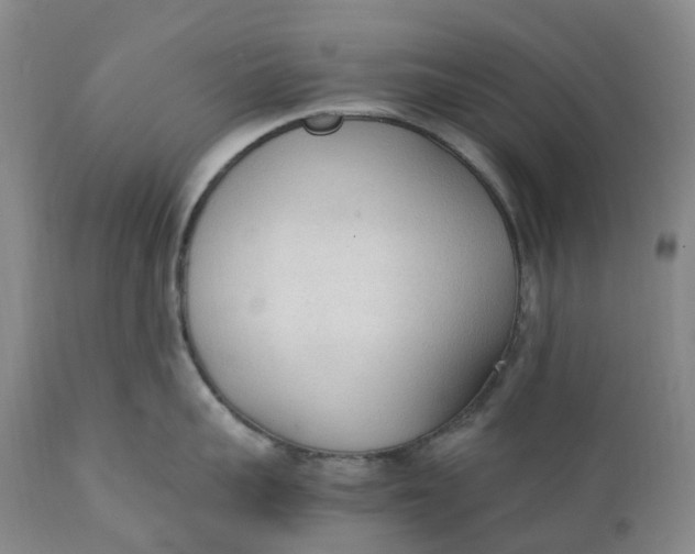 X0000111250959200907161403