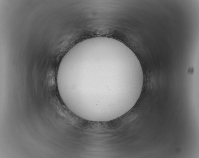 X0000111250962200907161402