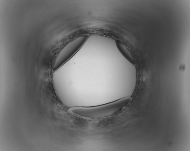 X0000111250965200907161402