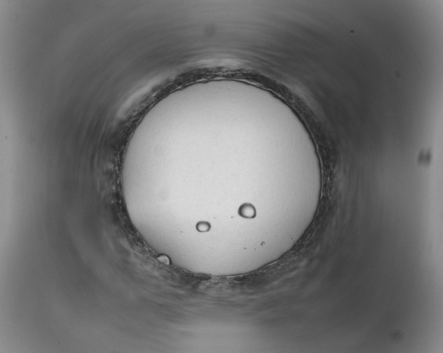 X0000111250967200907161402