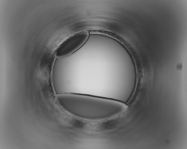 X0000111250969200907161402