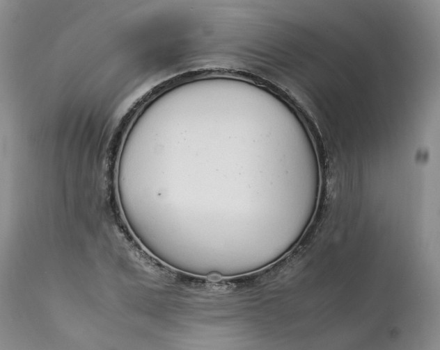 X0000111250975200907161402