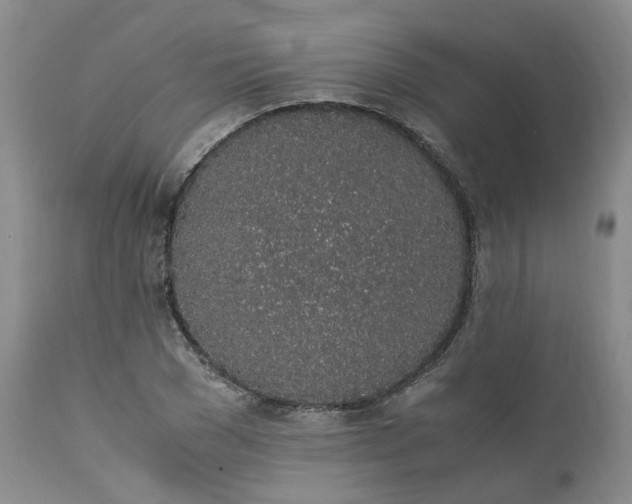 X0000111250977200907161402