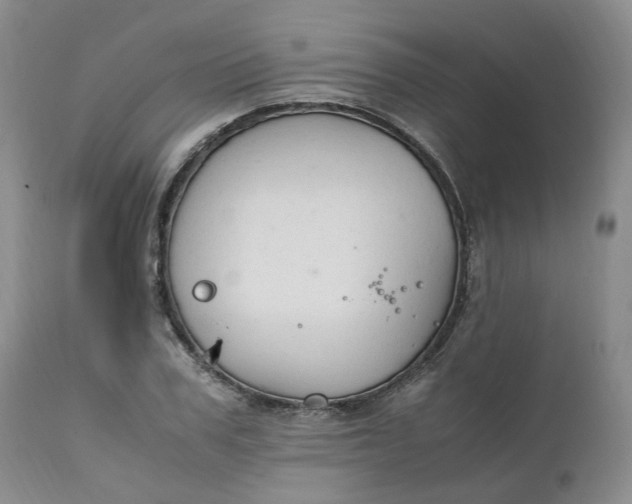 X0000111250979200907161402