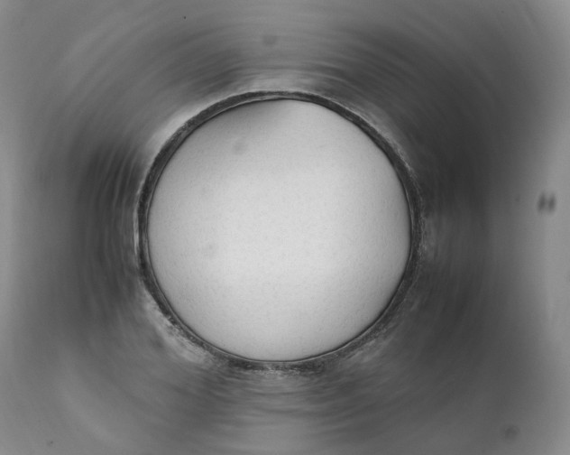 X0000111250980200907161402