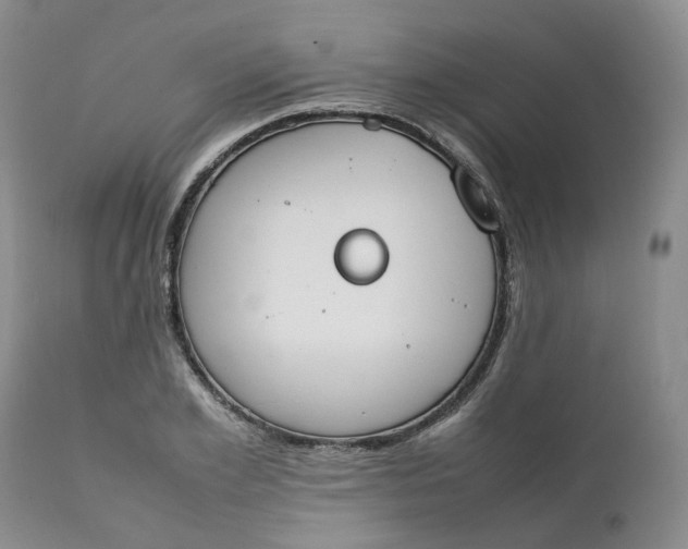 X0000111250981200907161402