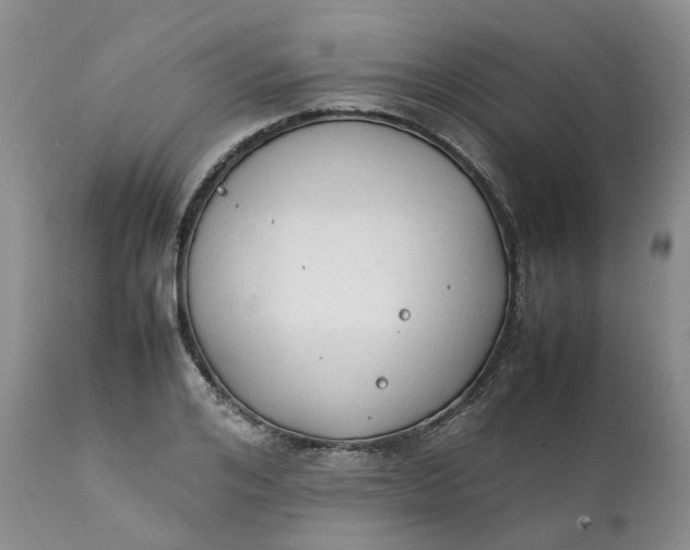 X0000111250984200907161402