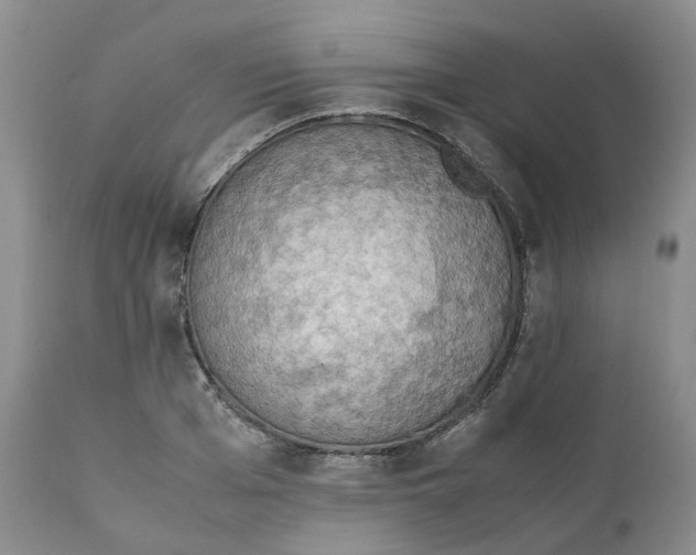 X0000111250985200907161402