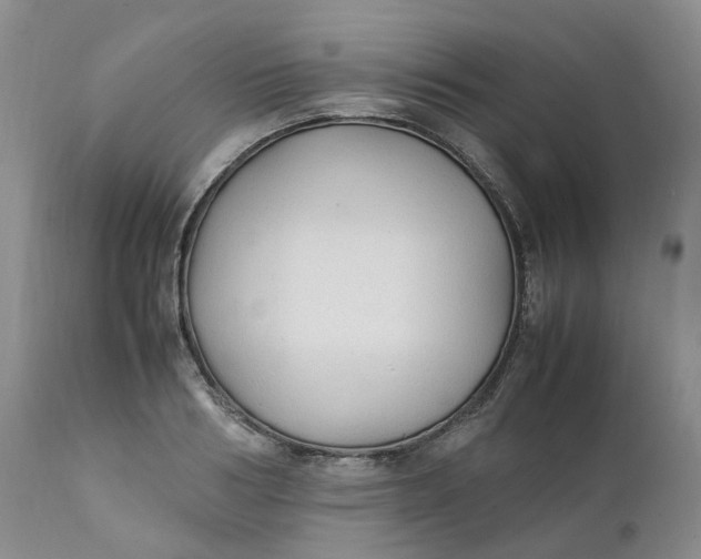 X0000111250986200907161402