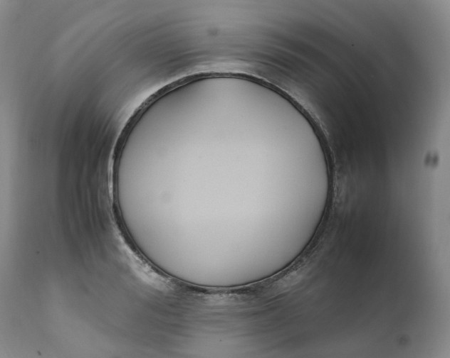 X0000111250988200907161402