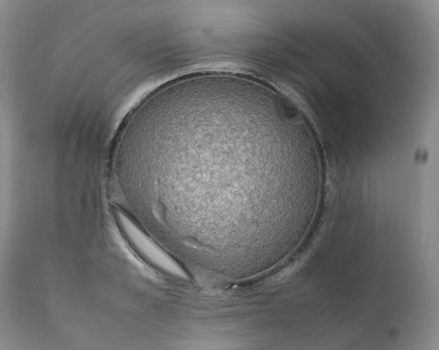 X0000111250989200907161402