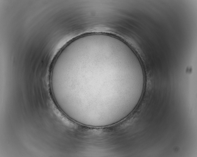 X0000111250990200907161402