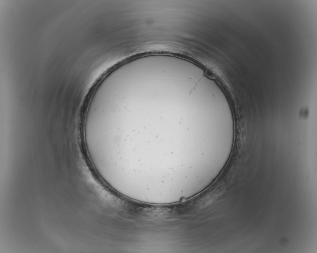 X0000111250991200907161402