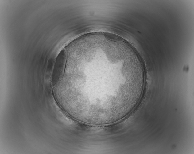 X0000111250993200907161402