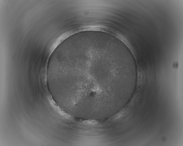 X0000111250994200907161402